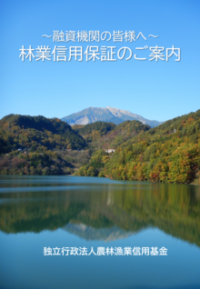 パンフレット(融資機関の皆様へ)の画像